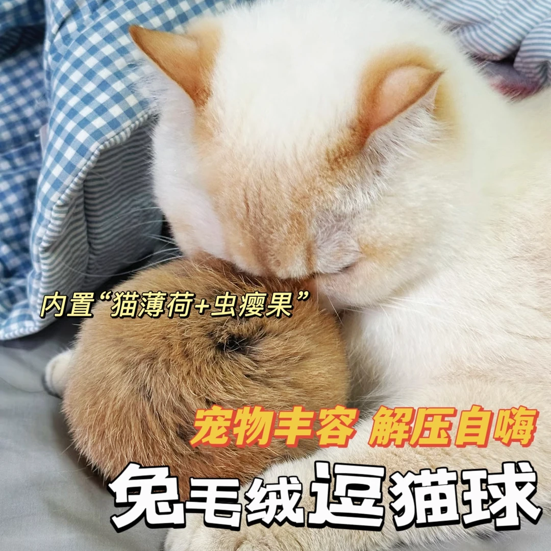 猫玩具兔毛绒球逗猫棒自嗨解闷猫薄荷虫瘿果耐咬消耗体力宠物用品