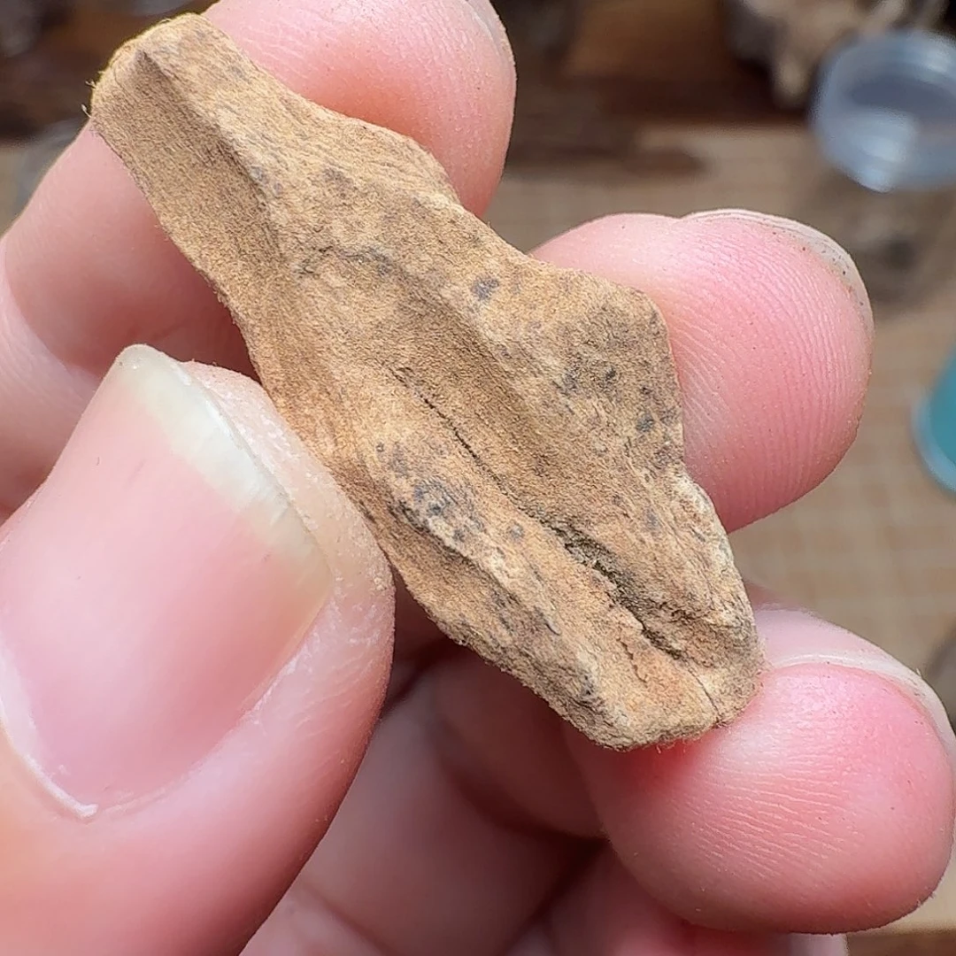 沉香兰卡红土虎斑