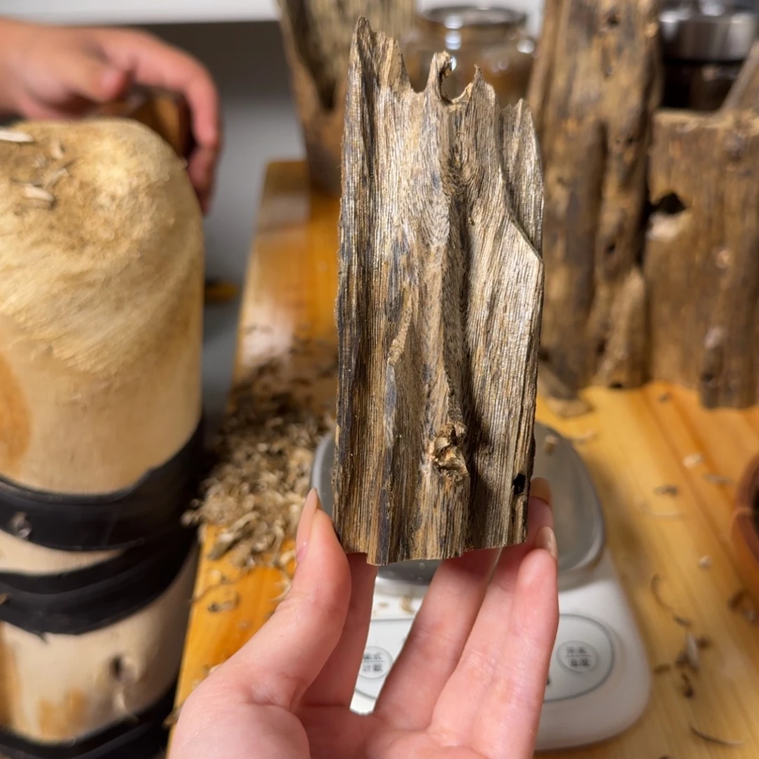 沉香白奇虫漏香54克