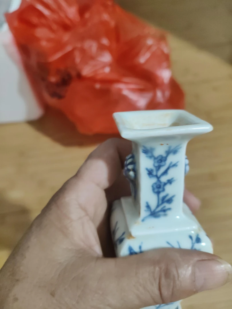 菊花花刺弹子花卉的一个小花瓶。