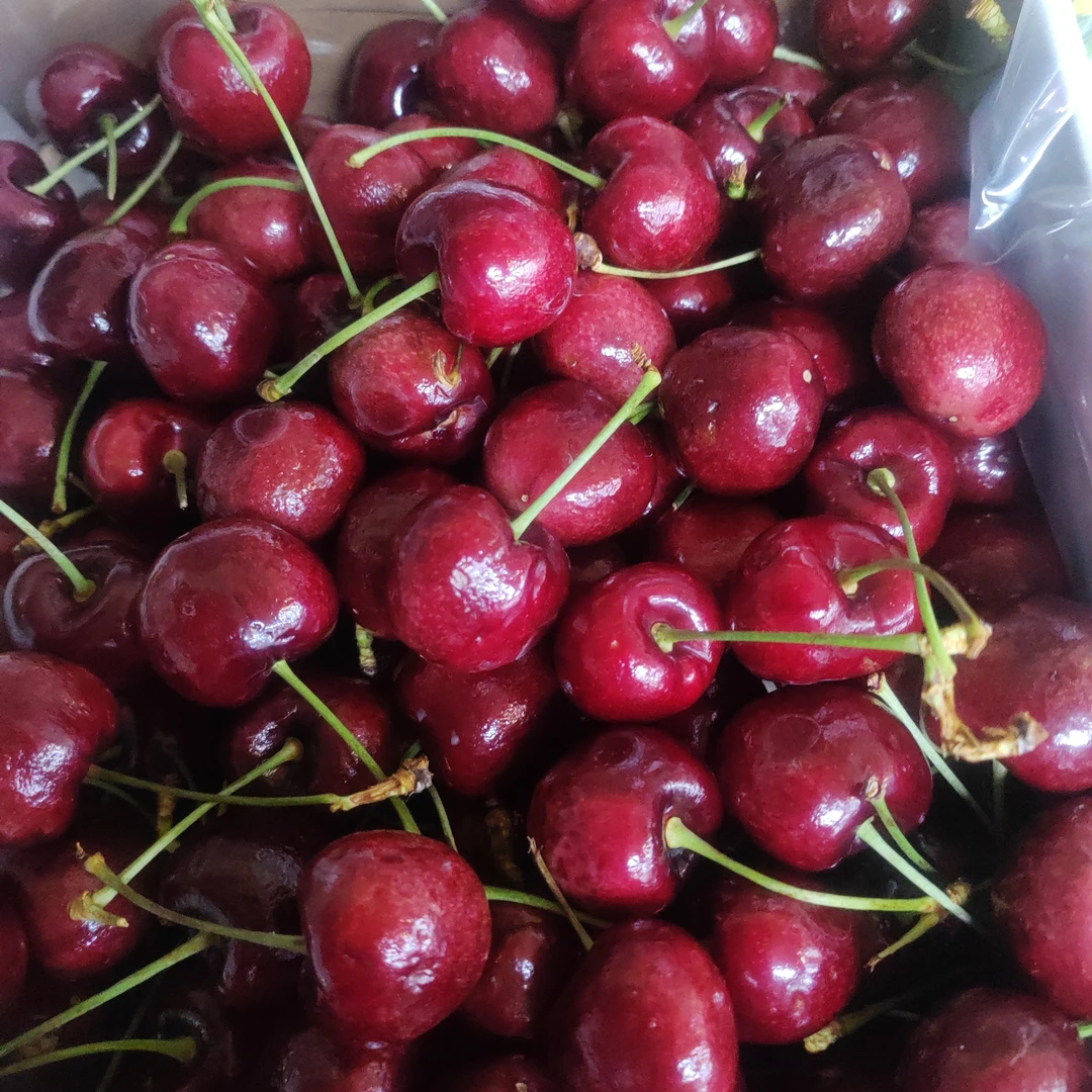 单J车厘子 一箱5斤