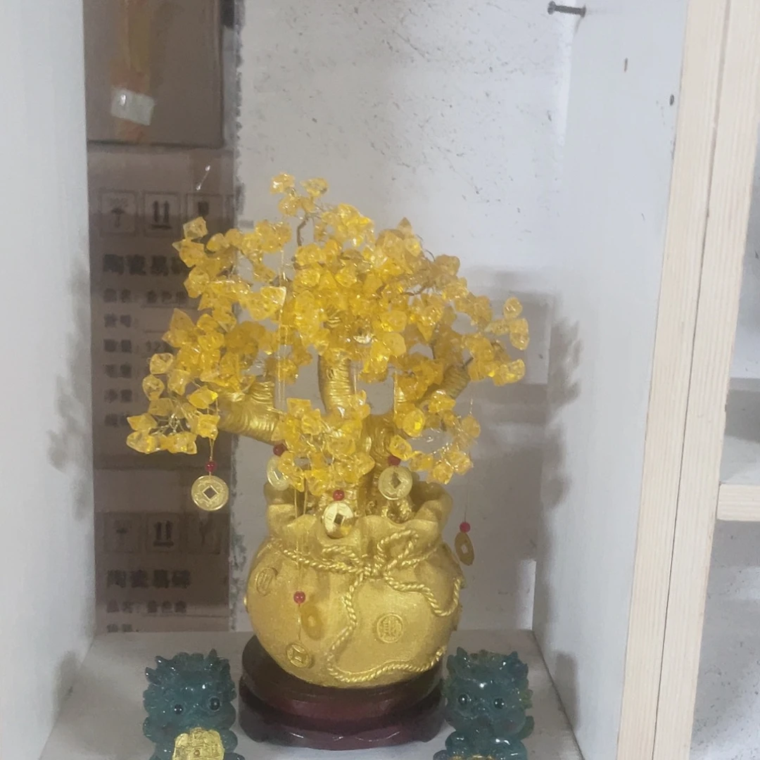 大发财树1111111111