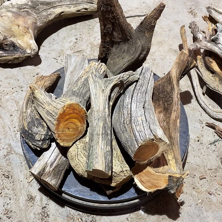 柏木N****）崖柏雅吧崖柏