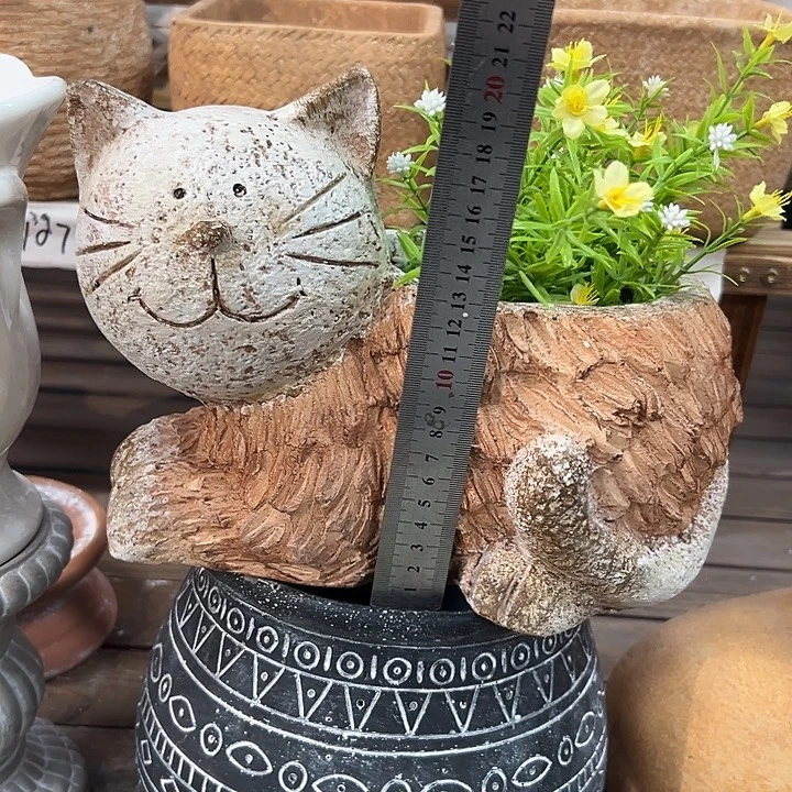 高20长26口12.，6566666666