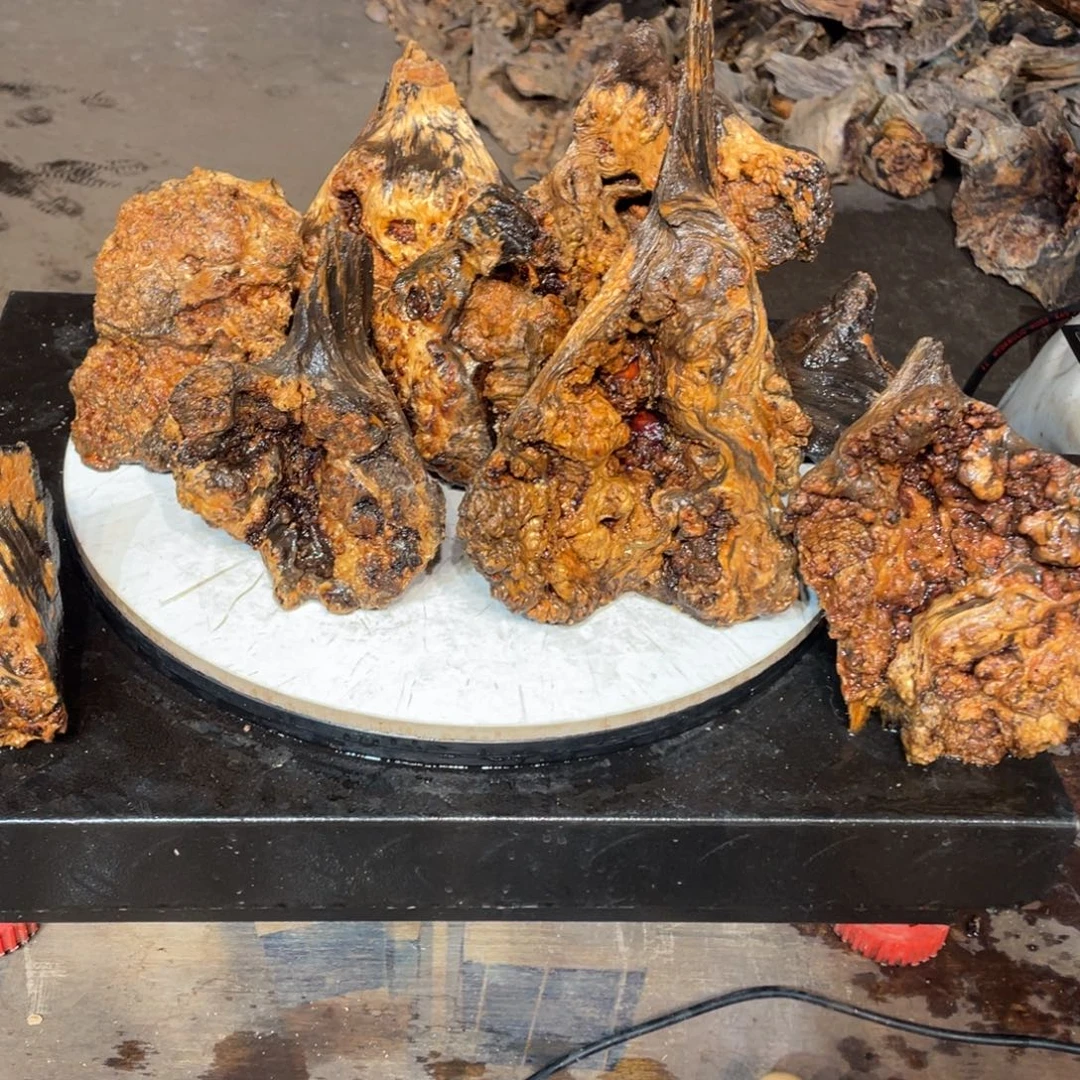 前***物木材猛子琥珀木摆件78