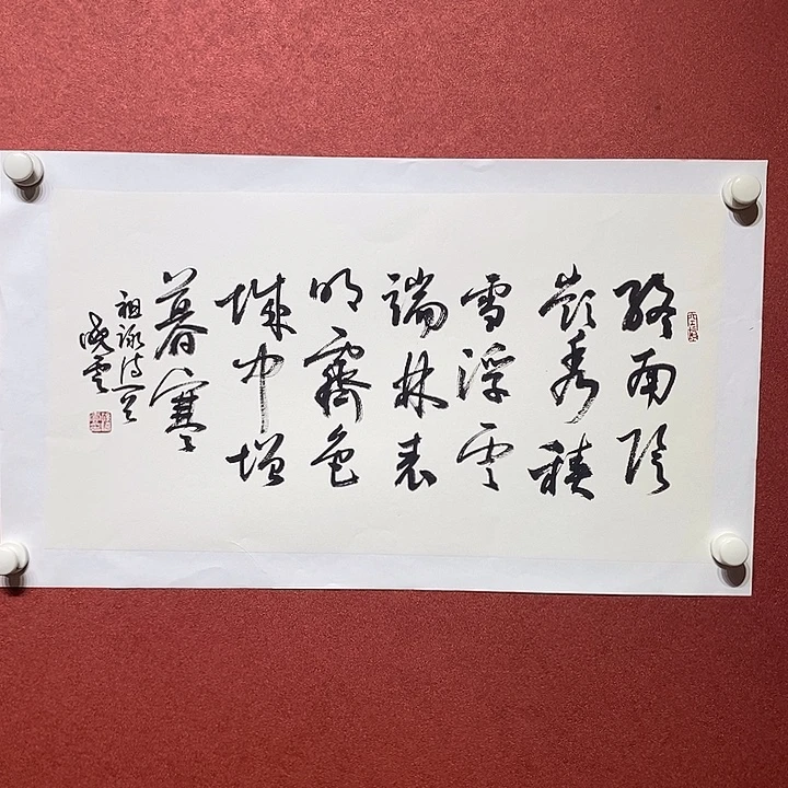 书法终南直播大漏