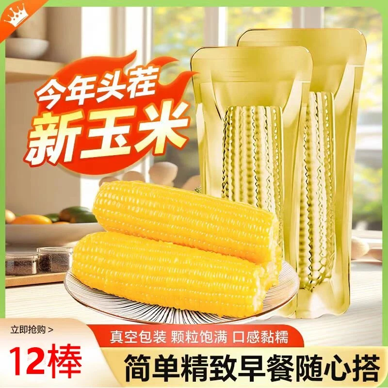 【铝箔12根】新鲜黄糯玉米软糯香甜12根带箱5.5斤-6斤（试吃两根）