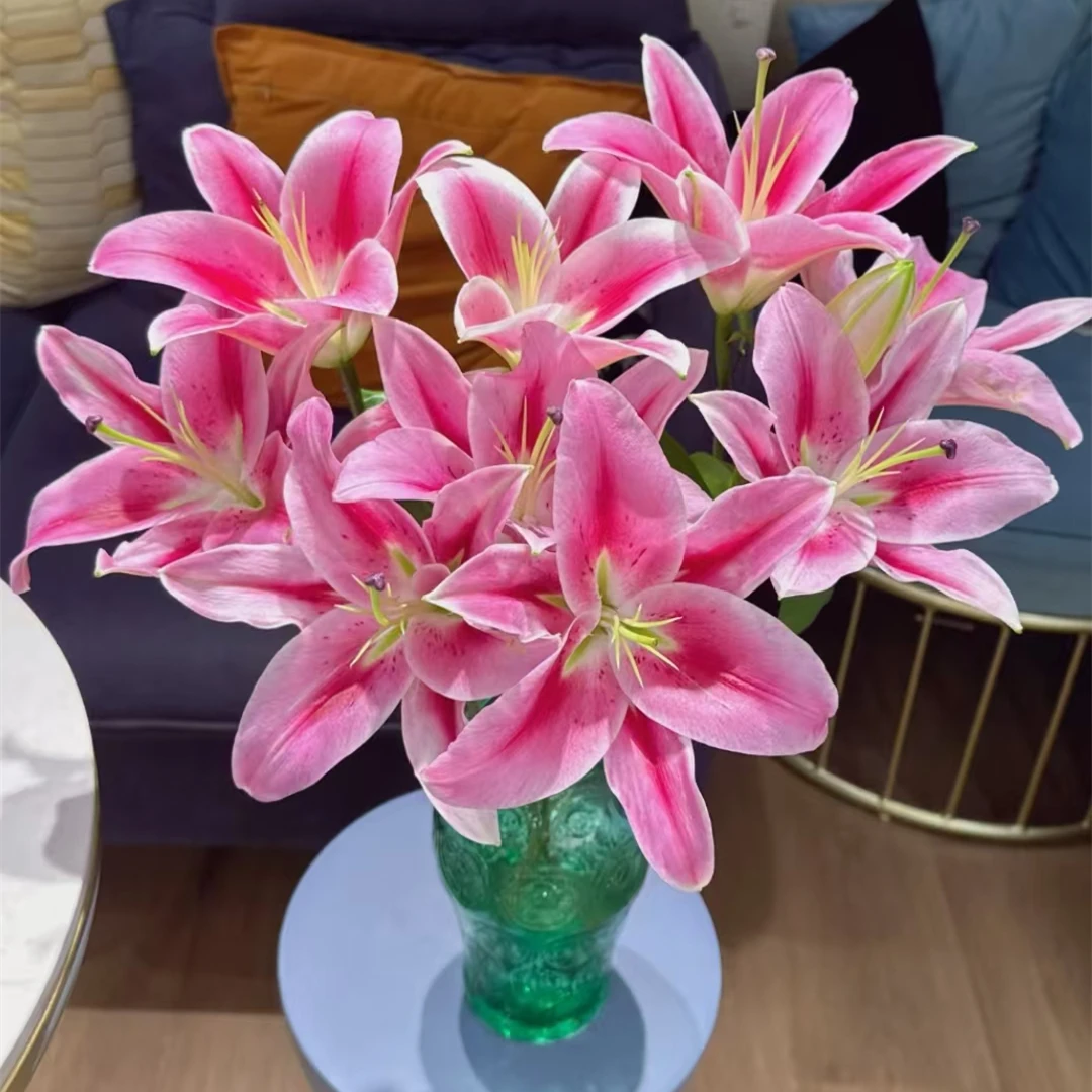 马伦哥 红色系单瓣百合【零度以下不拍保温棉不售后】