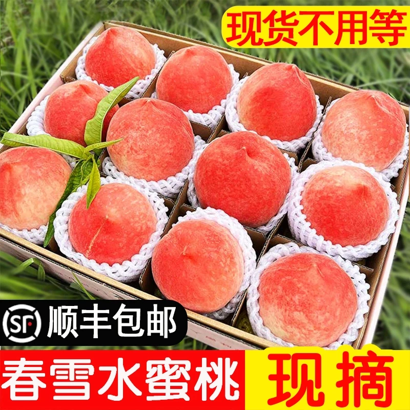 【顺丰速运】现货现摘正宗河北春雪水蜜桃桃子新鲜水果1-5斤礼盒
