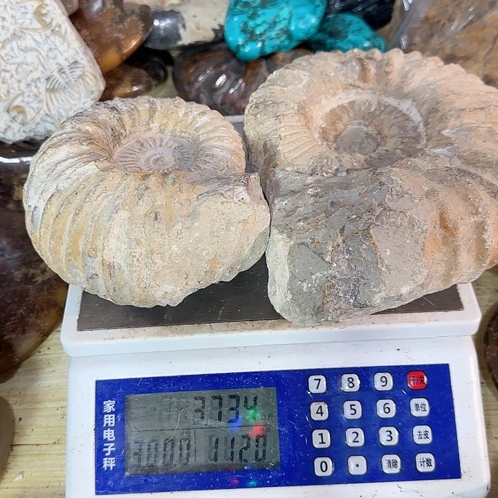 b***o有机玻璃家居装饰摆件