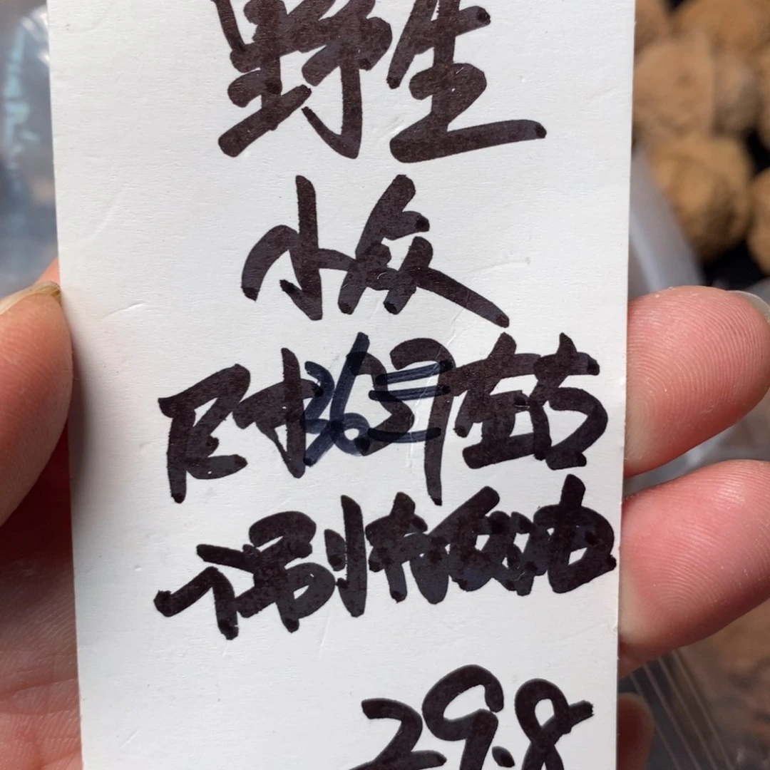 吊坠文玩核桃111111111111111