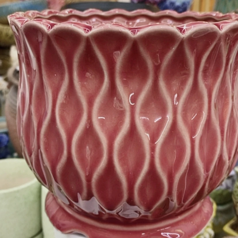 【闪购商品】福利盆，9.99包邮