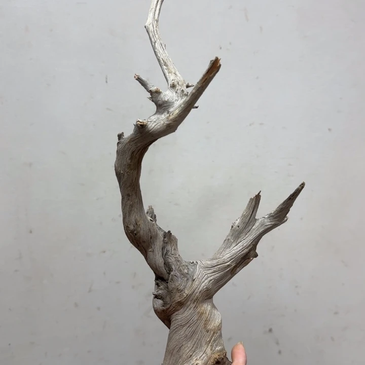 香榧木工艺品精选