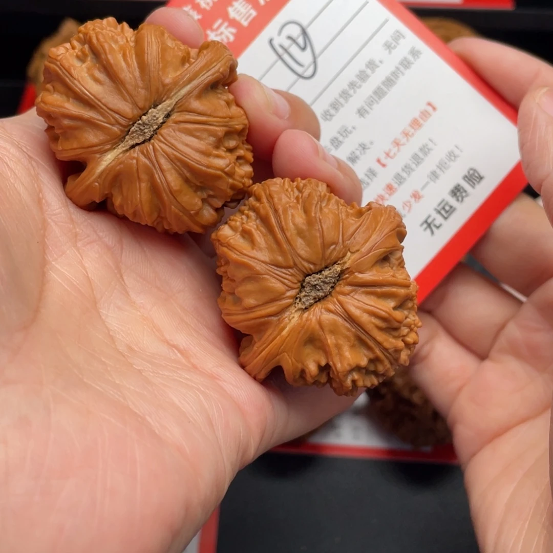 把件文玩核桃白狮子41