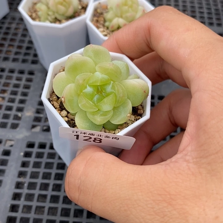 标128现金财富一个