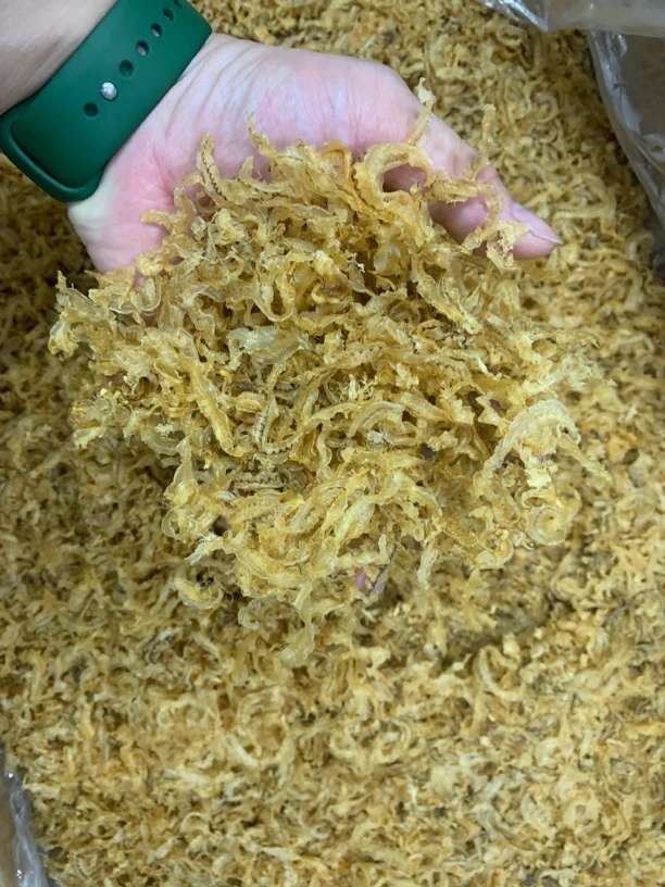 【蚝西施海味】本港鲍鱼肉边清蒸凉拌爆炒包邮