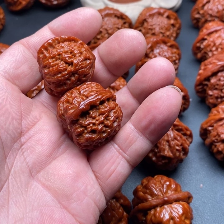 核桃一**子白狮子12345