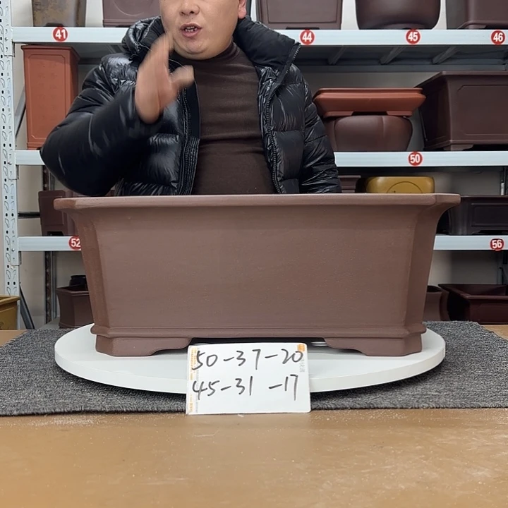 爱情这是什么神仙