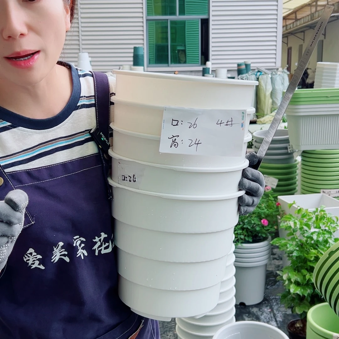瑕疵多孔盆4#白色5个无托