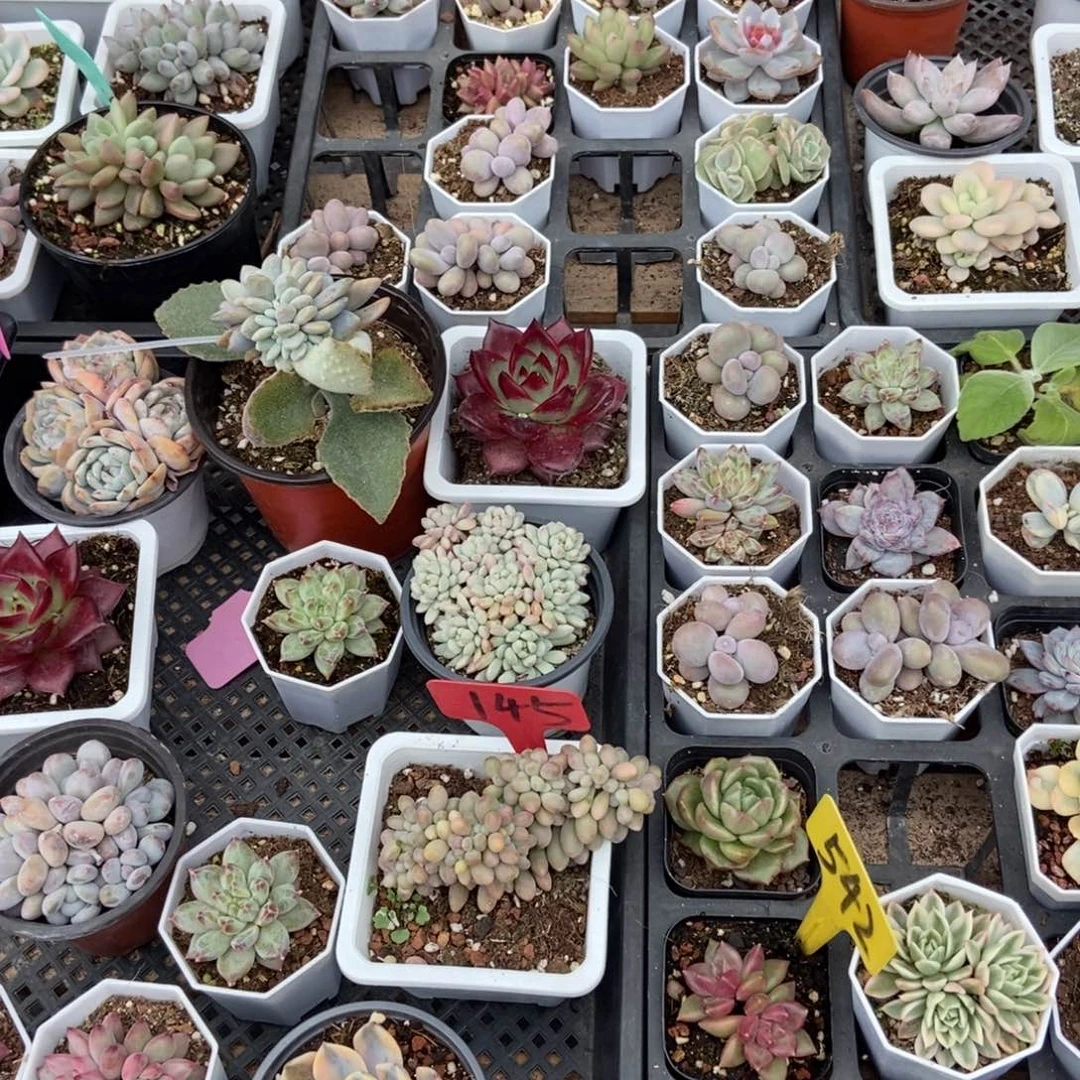 保温箱，低于零下五度拍保温