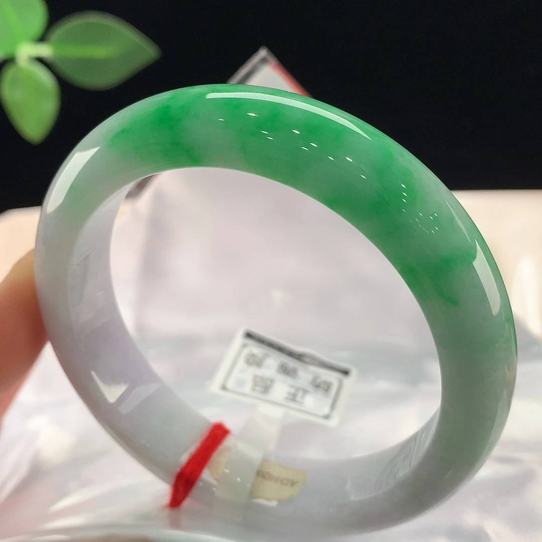 未镶嵌手镯翡翠2859