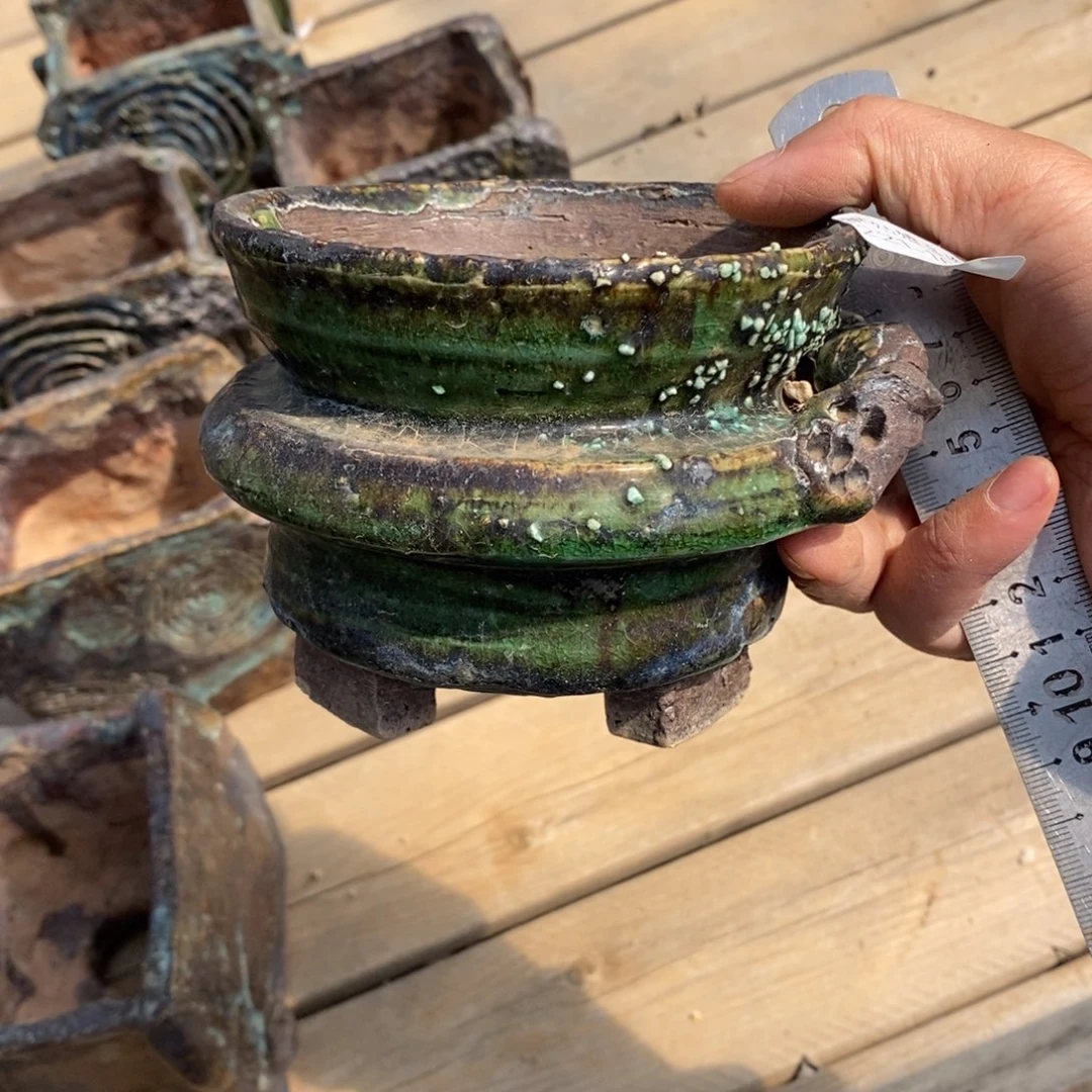 红陶彼*16号多肉盆一个呀