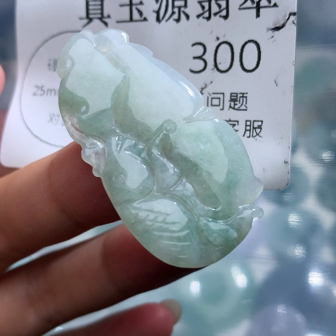 翡翠未镶嵌颈饰300