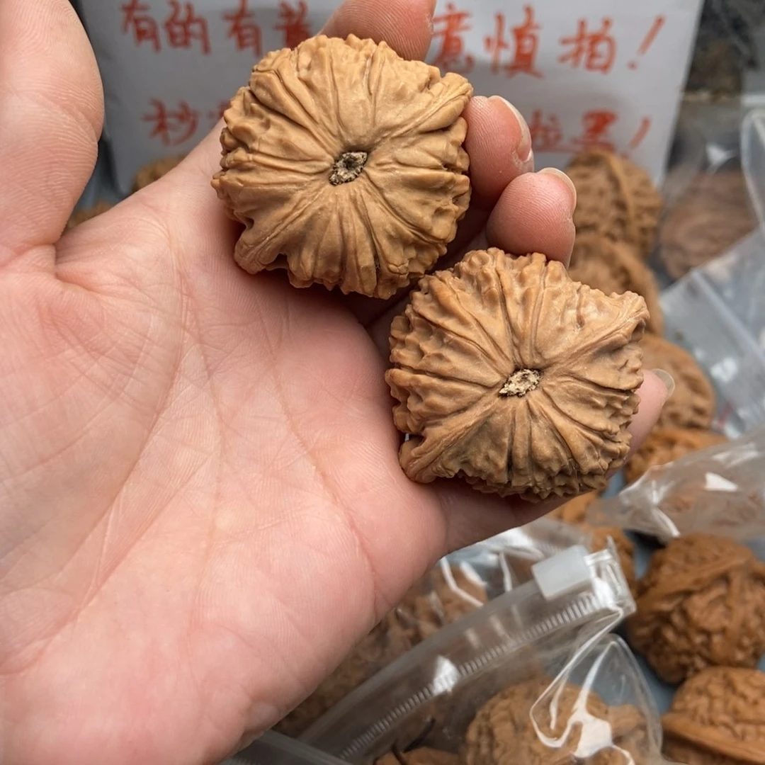 文玩核桃把件2****1红狮子22