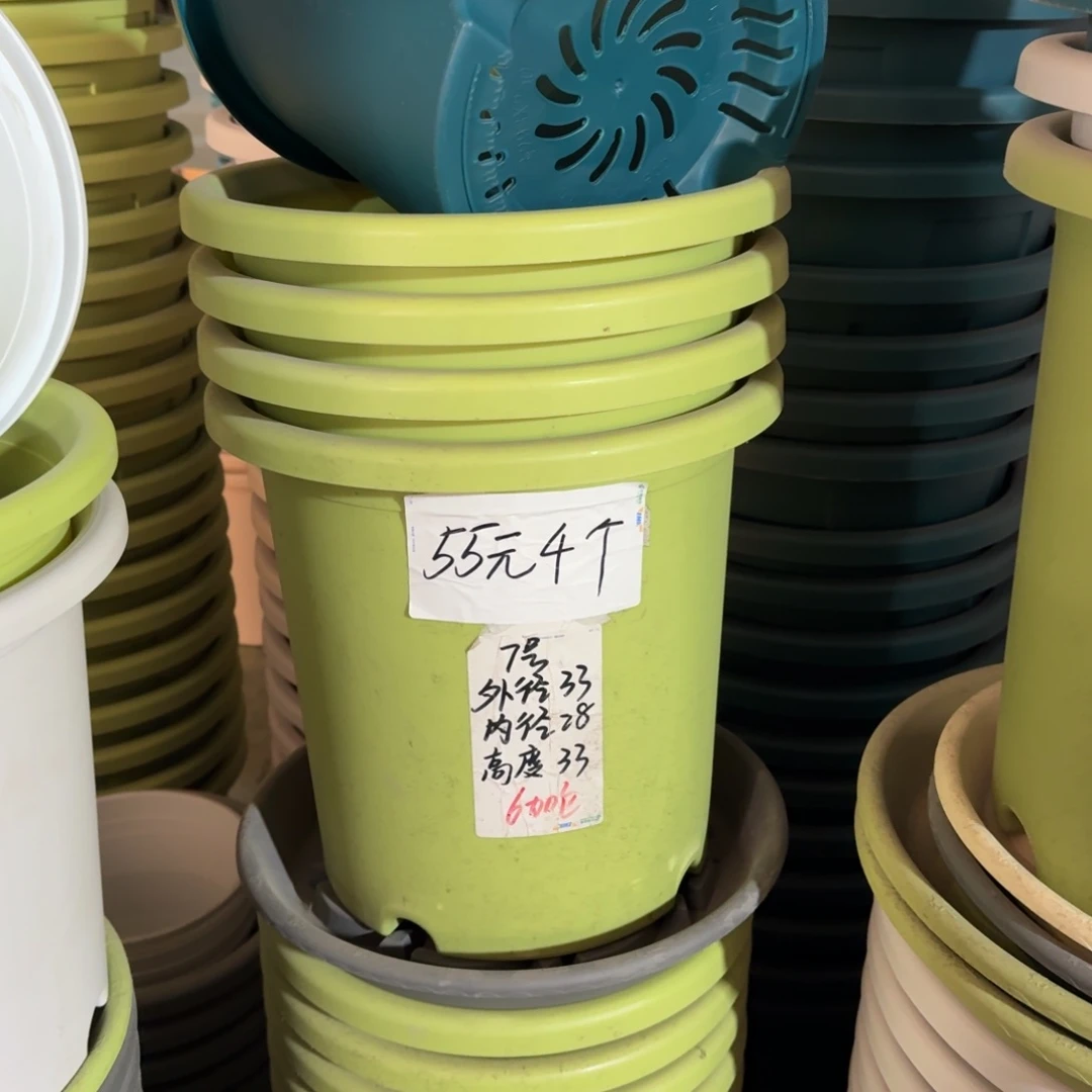 四季7#口径33高33无拖果绿6个