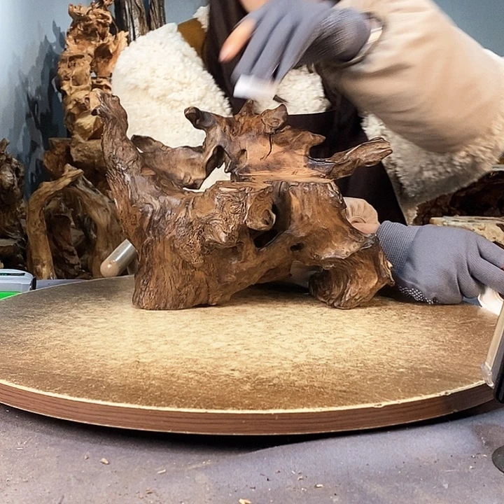 茶盏越***?275株木随行的小根艺