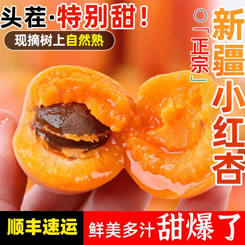 新疆阿克苏小红杏吊干杏 纯甜 爆汁3斤