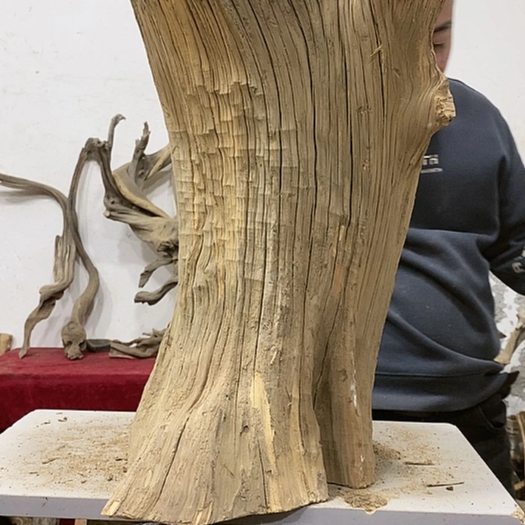 【闪购商品】柏木展****）我们都是好孩子