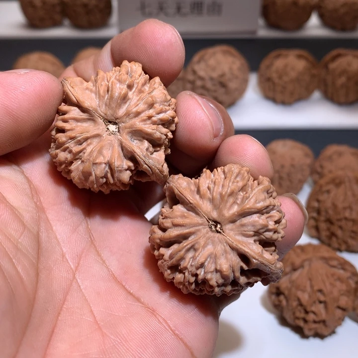 桃核把件莺*圆文玩核桃满天星