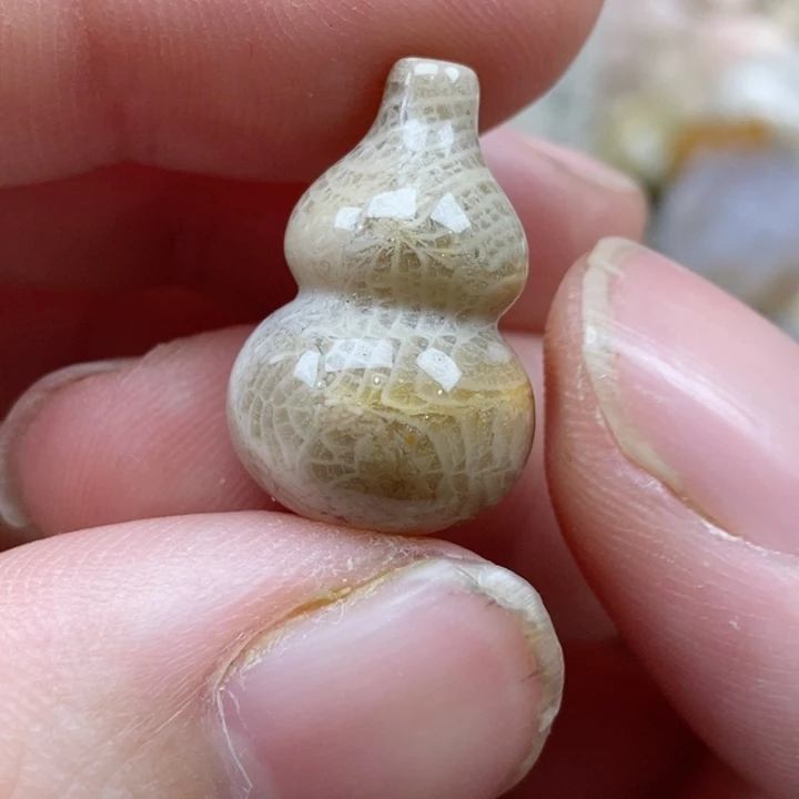 颈饰未镶嵌硅化珊瑚（珊瑚玉）没打孔 小