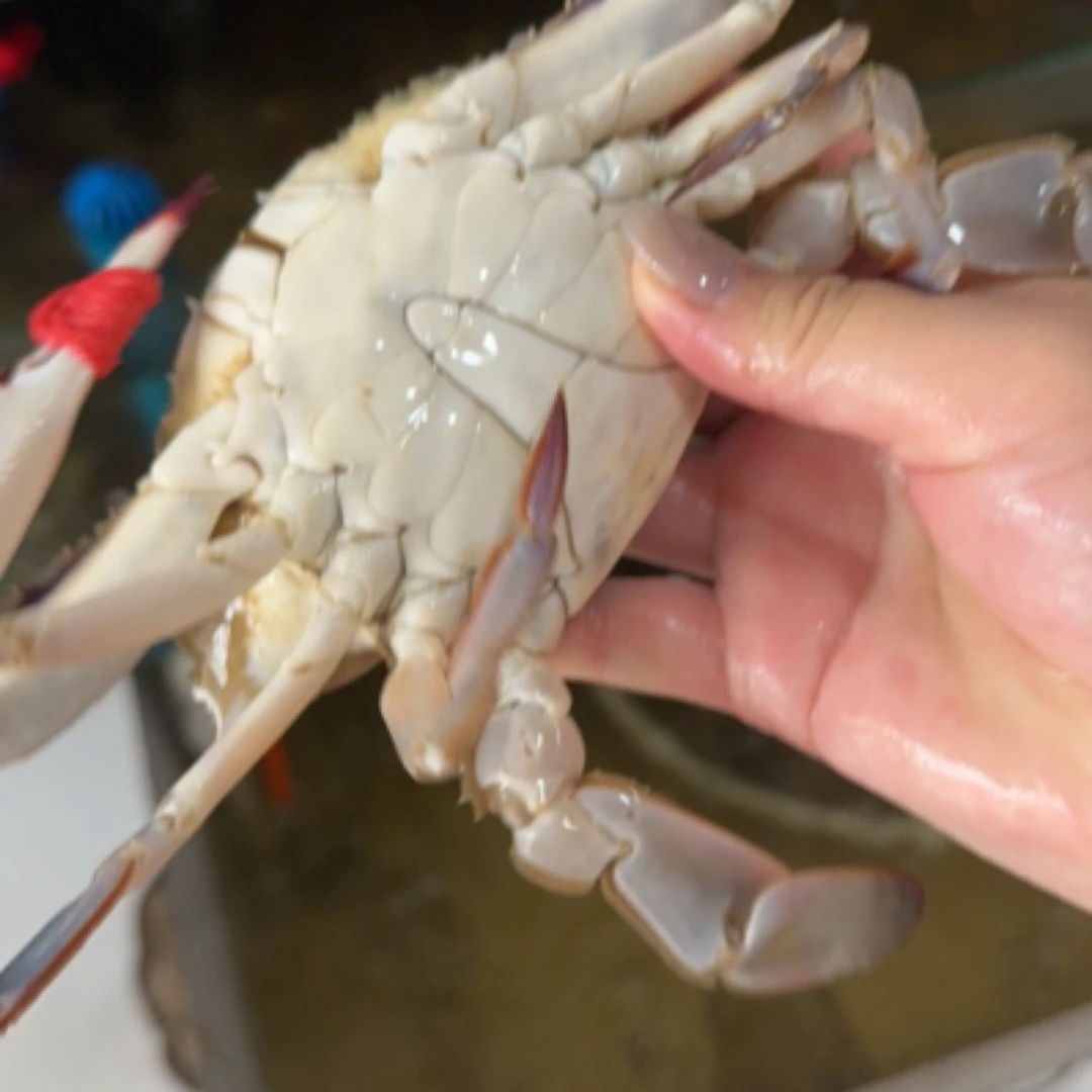 【小时达】东港肉公飞蟹129三斤【保鲜不保活】3-4两一只