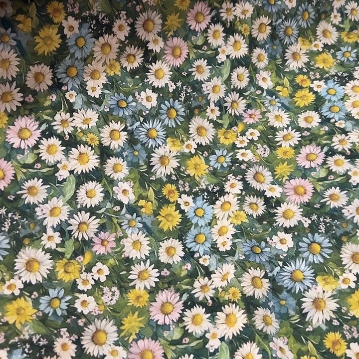 棉一米价纯棉平布1.1米宽果子布艺4元