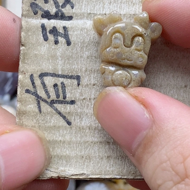 颈饰未镶嵌硅化珊瑚（珊瑚玉）乁****ㄏ小