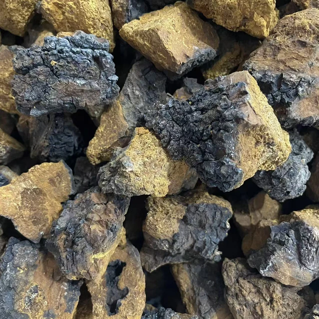 手工精选边境桦树茸切块可煮水泡水