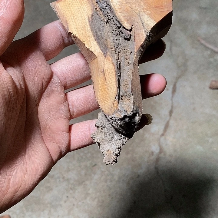 风车木（黑檀木）扶*