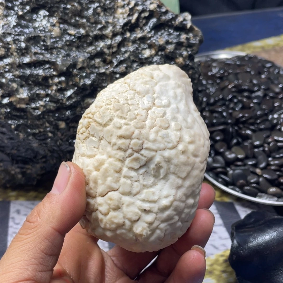 绿***铺罗布泊无人区带白石