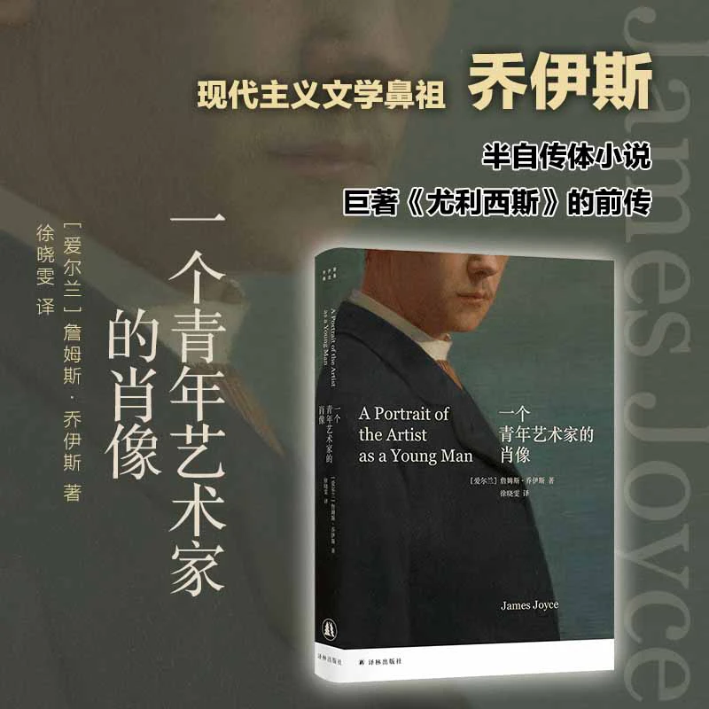 一个青年艺术家的肖像 乔伊斯代表作专业英语译者徐晓雯译本