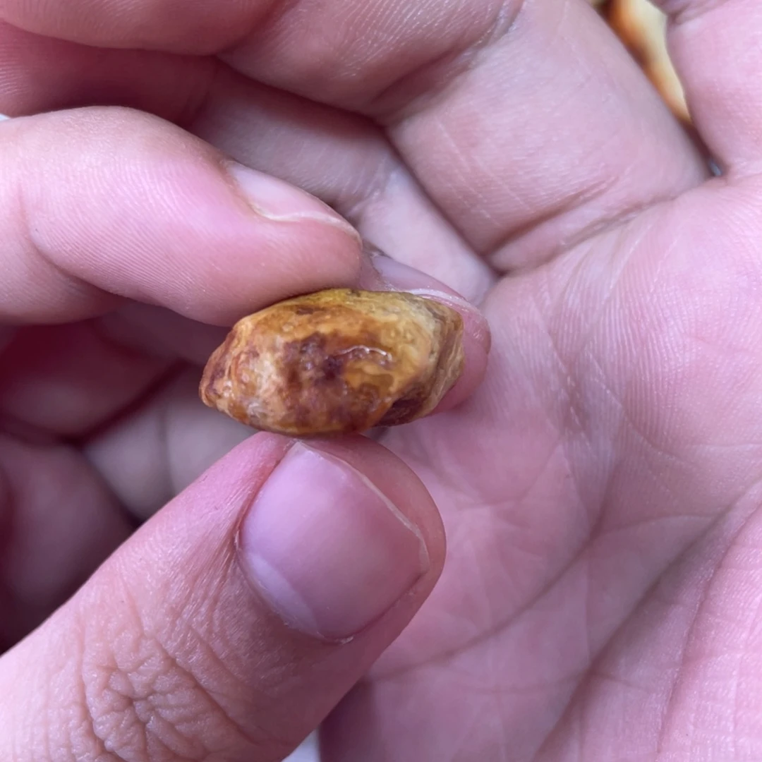 定制琥珀天然琥珀8老型