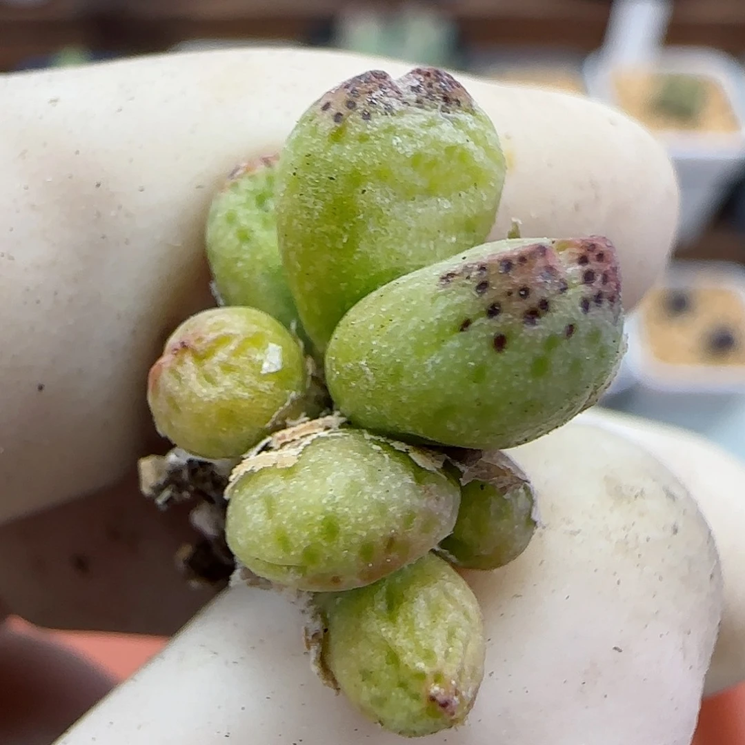 358福利福利福利