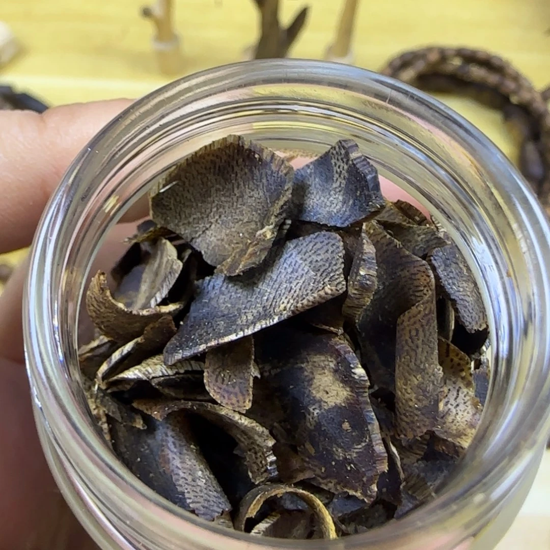 香料21克乌身圆叶切片