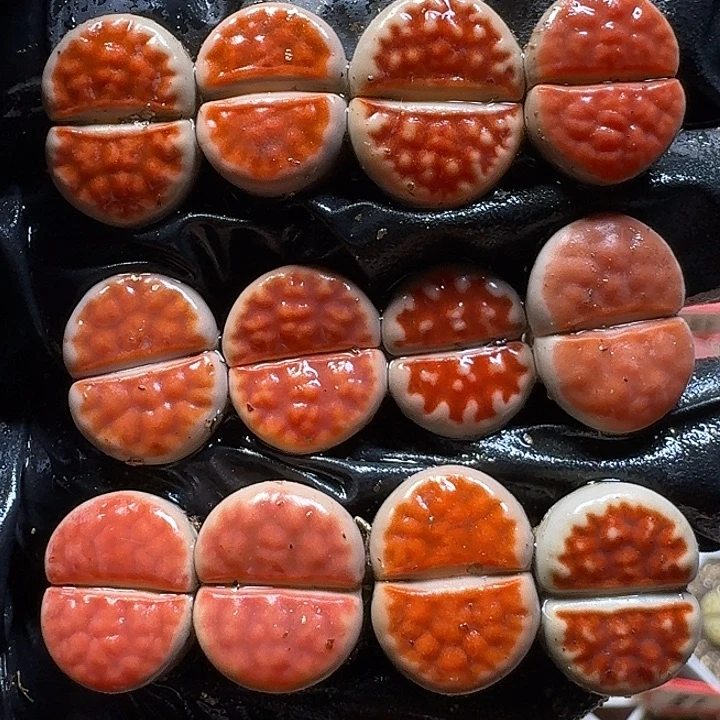 生石花122222。   195