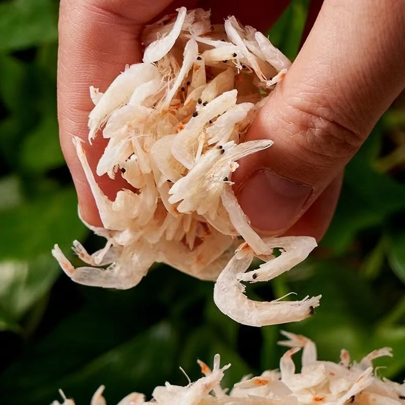 新货优质淡干不咸虾皮大虾皮250克/袋 拍1发2袋干净营养