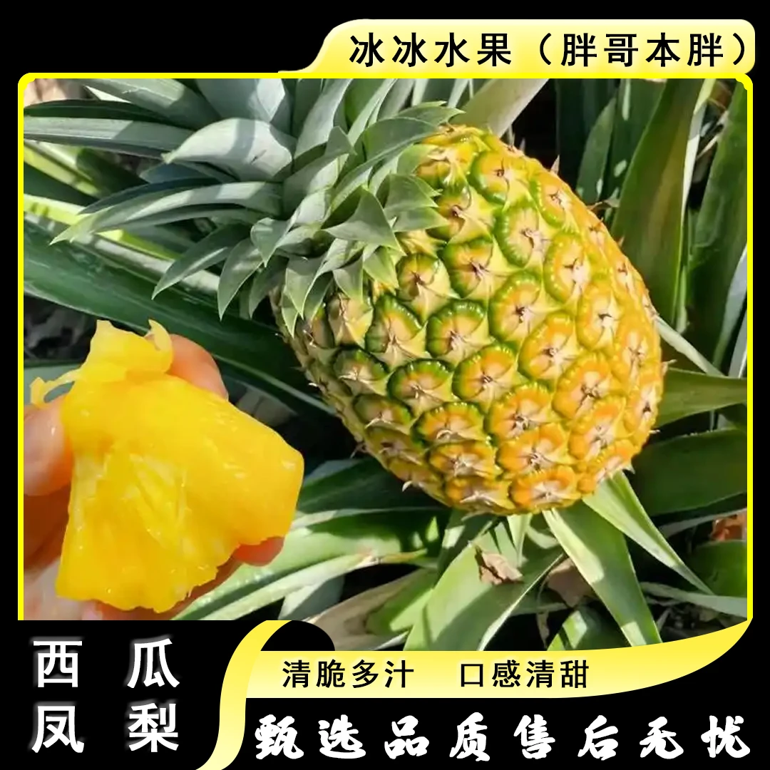 【两颗】[N]西瓜凤梨 份/2颗