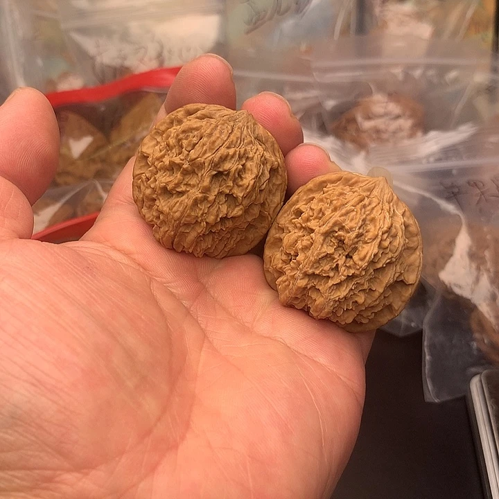 核桃40尺练手对137狮子头