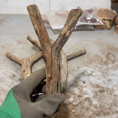 大果紫檀（缅甸花梨）小*