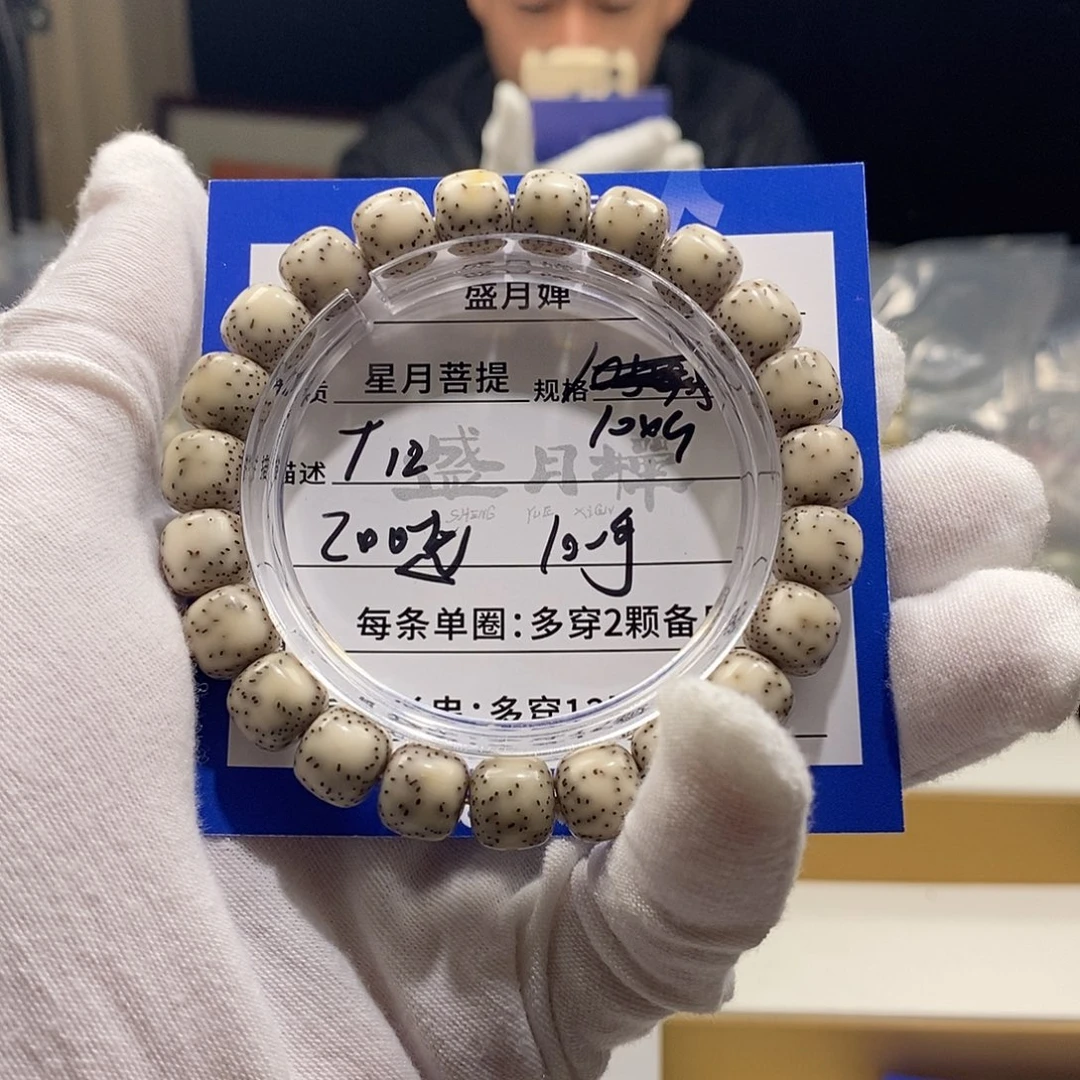 嘿***?海南星月菩提海南星月菩提T12